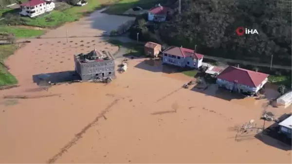 Sakarya Nehri taştı, tarım arazileri sular altında kaldı