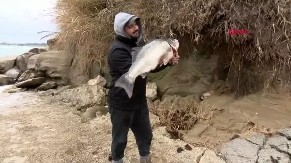 Amatör balıkçı 10 kiloluk levrek yakaladı