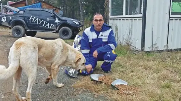 Amanos Dağları'ndaki Hayvanlar İçin Yem Bırakıldı