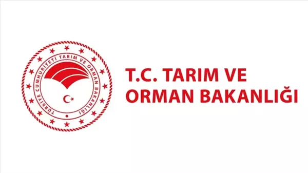 TARIM VE ORMAN BAKANLIĞI PERSONEL ALIMI 2024: Tarım ve Orman Bakanlığı 7 bin 158 personel alımı başladı mı, nereden başvurulur, ne zaman?