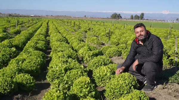 Tarsus Belediyesi, yerli tohumlarla çiftçilere destek sağlıyor