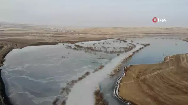 Soğuk hava Kars barajını dondurdu