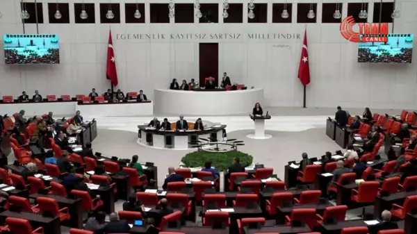 TBMM'de Bütçe Görüşmeleri... Ayşegül Doğan: 