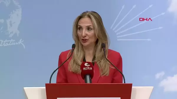 CHP Genel Başkan Yardımcısı Aylin Nazlıaka: 'YaşamHak' Projesiyle Şiddet Mağduru Kadınlara Destek Olduk