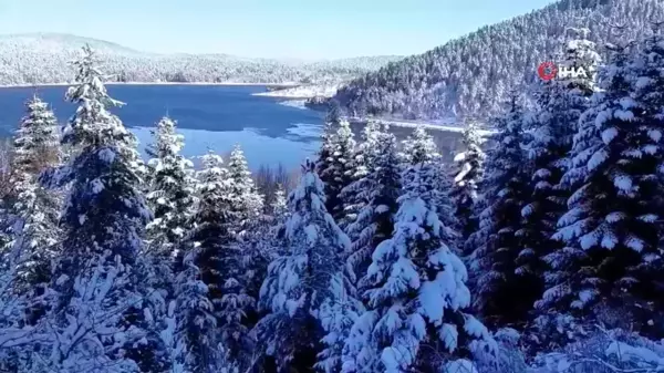 Kar, güneş, manzara ve eğlence Abant'ta