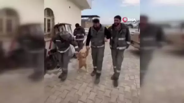 Mola yapan işçiler köpekle halayı kamerada