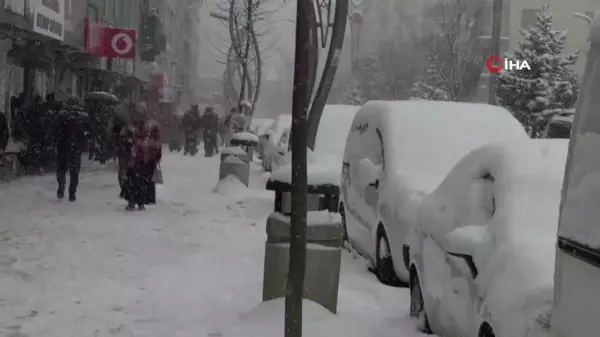 Hakkari'de lapa lapa kar yağışı