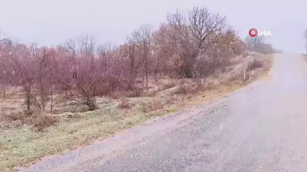 Kırklareli'nde lapa lapa kar yağdı