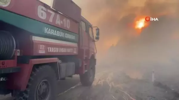 Karabük'te çıkan orman yangını kontrol altına alındı