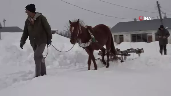 Muş'ta besicilerin imdadına atlı kızaklar yetişti