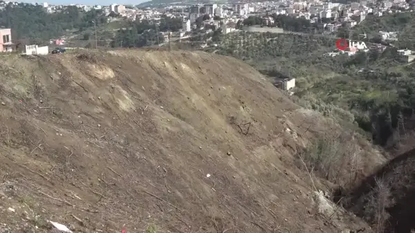 Orman yangınlarında yok olan alanlar yeniden ağaçlandırılıyor