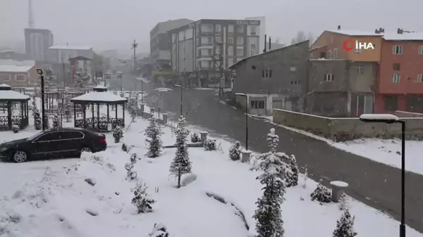 Başkale'de kar yağışı etkili oldu