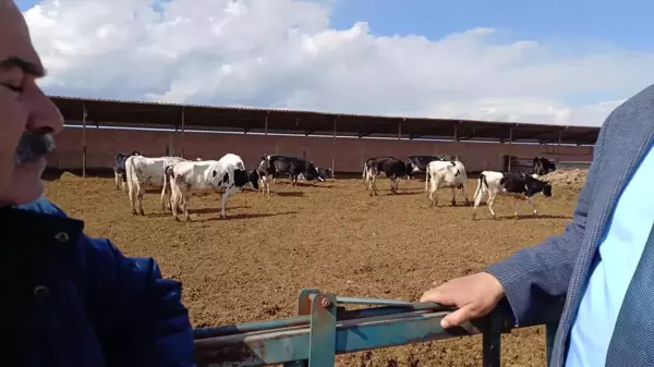 Hayvancılıkta yaşanan sorunlar gündeme geldi