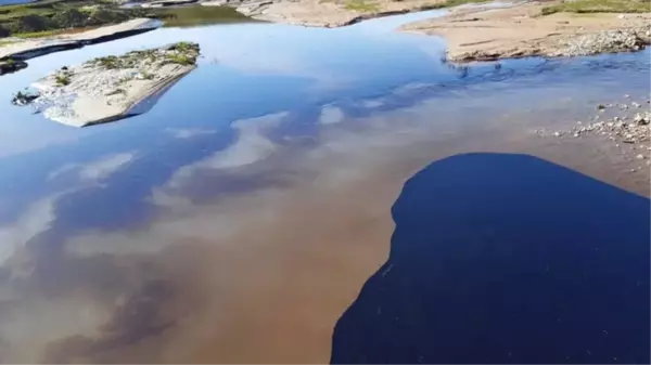 Diyarbakır'da boru hattından sızan ham petrol Kamışlı Çayı'na aktı