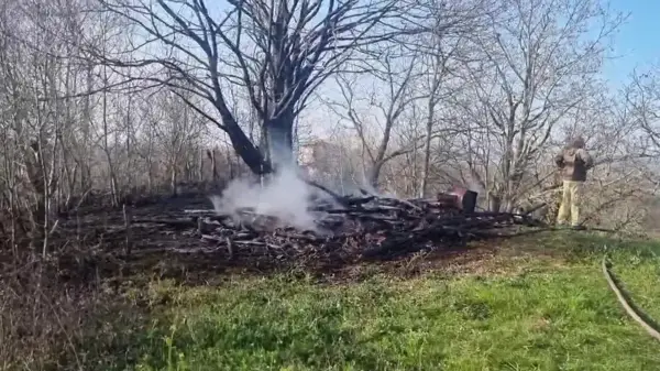 Sinop'ta Ormanlık Alanda Yangın Çıktı