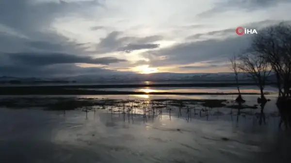 Ardahan'da nehir taştı, ova göle döndü