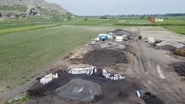 Çukurova sıcağında narenciye odunları mangal kömürüne dönüşüyor