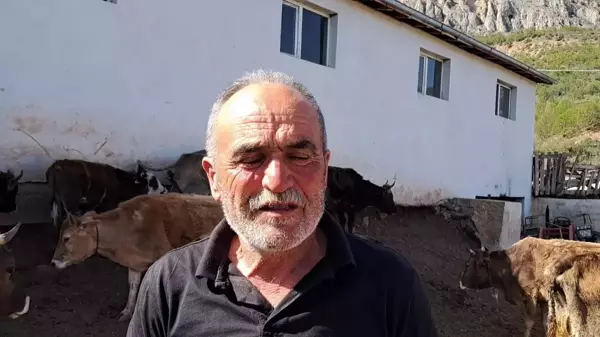 Artvin'de hayvancılık zor günler yaşıyor