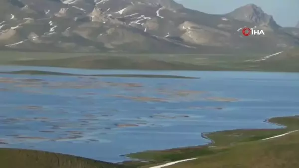 Urartuların mühendislik harikası 2 bin 800 yıllık Keşiş Gölü eski günlerine kavuşuyor