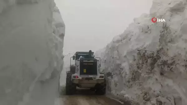 Yüksekova'da Mayıs Ayında 6 Metrelik Kar Tünelleri Şaşırtıyor