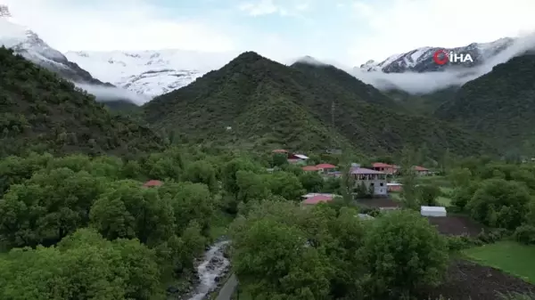 Şırnak Dağları Karla Kaplandı