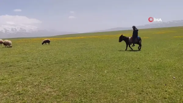 Besiciler Yaylaya Çıkmaya Başladı