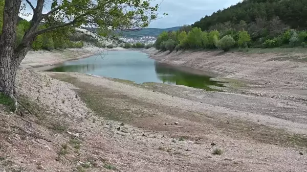 Yozgat'ta Kuraklık Hububat Üretimini Olumsuz Etkiliyor