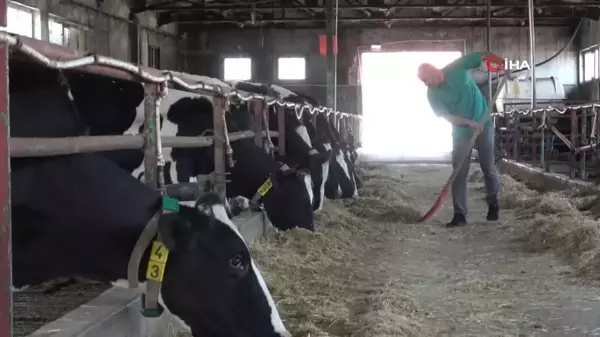 Veteriner adayları üniversitenin çiftliğinde eğitim görüyor