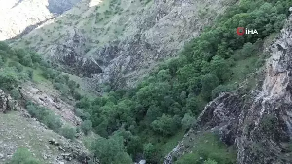 Şırnak'ta keşfedilen şelale ve kanyon vadi doğaseverleri ağırlıyor