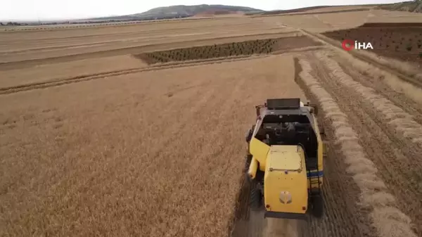 Adıyaman'da Biçerdöverler Tarlalara Girdi, Hasat Başladı