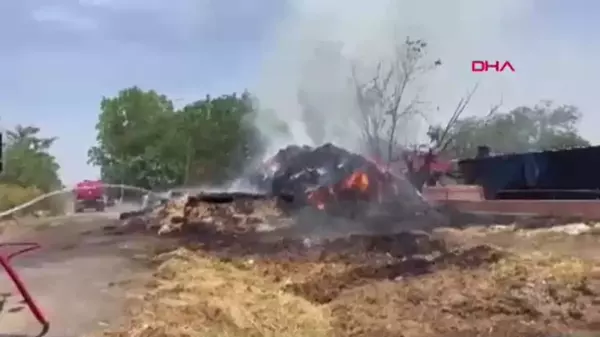 Edirne'deki çiftlikte çıkan yangında 1000 ot balyası yandı