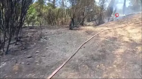 Mersin'de ormanlık alanda çıkan yangın kontrol altına alındı