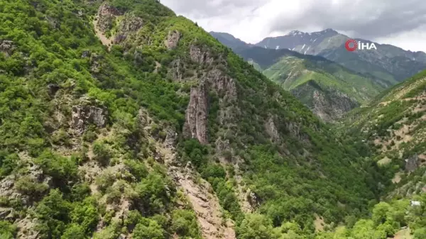 Artvin'in gizli hazinesi: Kilayet Manastırı