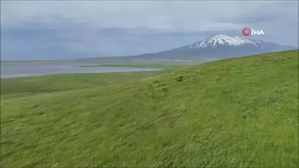 Sütey Yaylası ve Süphan Dağı'nda bulut geçişleri görsel şölen oluşturdu