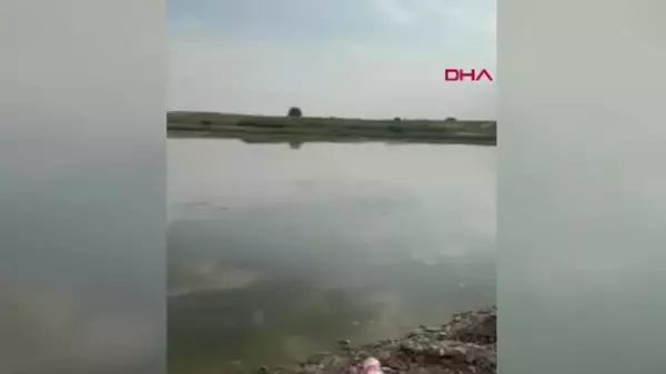 Dicle Nehri'nde kaybolan kadının cansız bedeni bulundu