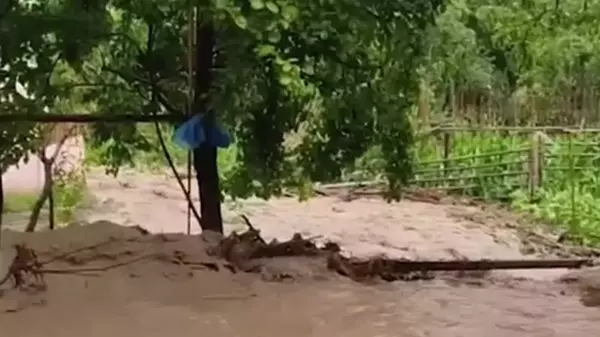 Artvin'de aşırı yağışlar tarım arazilerine ve köy yollarına zarar verdi