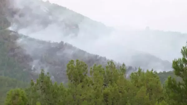 İzmir Bergama'da Orman Yangını