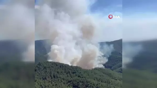 Bergama'daki orman yangına havadan ve karadan müdahale