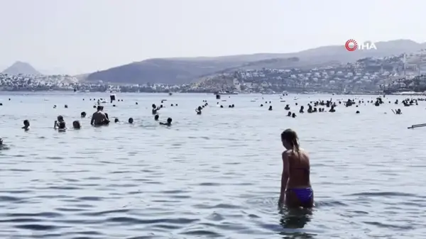 Bodrumlu turizmciler pahalılık haberlerine isyan etti