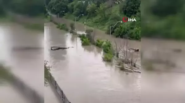 Kanada'da rekor yağışlar sonucu sokaklar ve evler sular altında kaldı