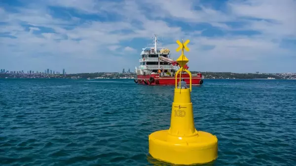 Marmara'daki deniz çayırları şamandıralarla korunacak