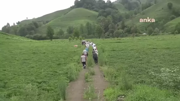 CHP Trabzon İl ve Of İlçe Örgütleri ÇAYKUR'u protesto etti