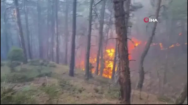 Kütahya Gediz'deki orman yangını kontrol altına alındı