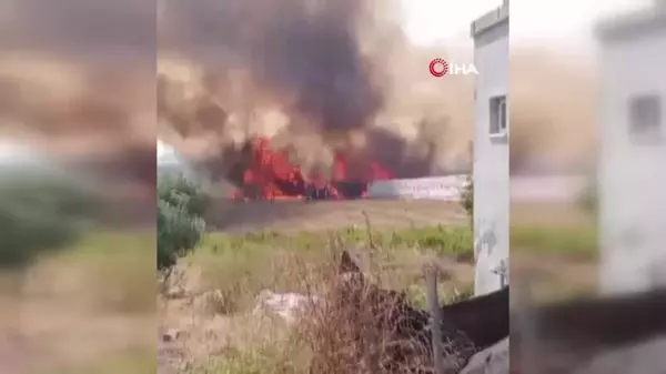 Antalya'da Otluk Alanda Başlayan Yangın Zeytin Ağaçlarına ve Seraya Sıçradı