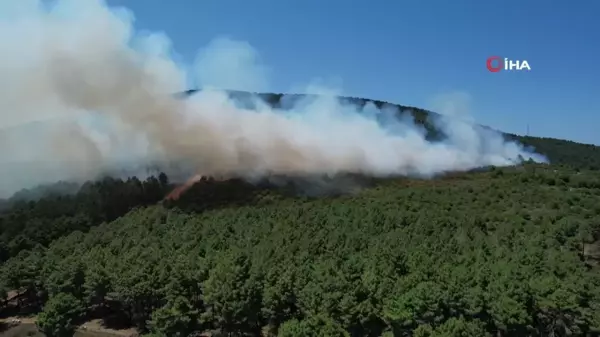 Pendik Aydos Ormanı'ndaki yangın dron ile görüntülendi