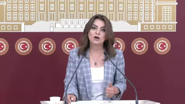 DEM Parti Grup Başkanvekili Gülüstan Kılıç Koçyiğit: Emeklilere kaynak bulamıyorlar