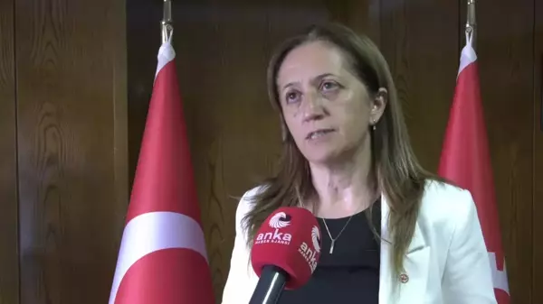 DİSK Genel Başkanı Arzu Çerkezoğlu, Sendikal Mevzuatın Demokratikleştirilmesi İçin Mücadele Verdiklerini Söyledi