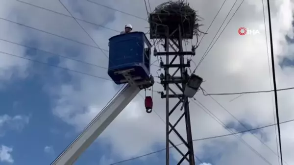 Öksüz leylek yavrusuna şefkat eli uzandı