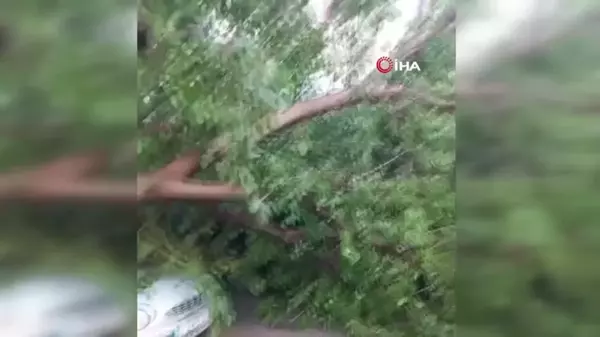 Osmaniye'de şiddetli fırtına: çatılar uçtu, ağaçlar devrildi, yollar göle döndü