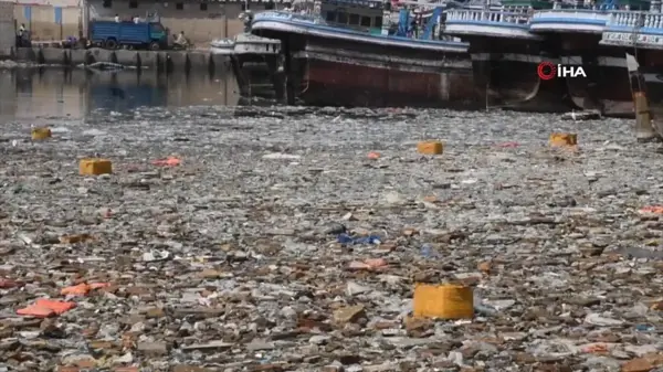 Pakistan'daki deniz kirliliği deniz yaşamı için 'ölü bölgeye' neden oldu